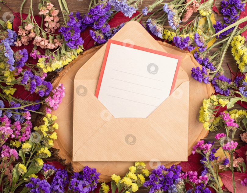 Скачать Высушенные разноцветные цветы статицы вокруг конверта с открыткой фотосток Ozero