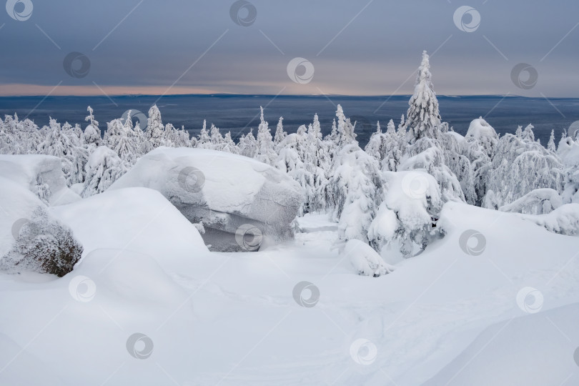 Скачать Удивительный зимний заснеженный горный лес фотосток Ozero