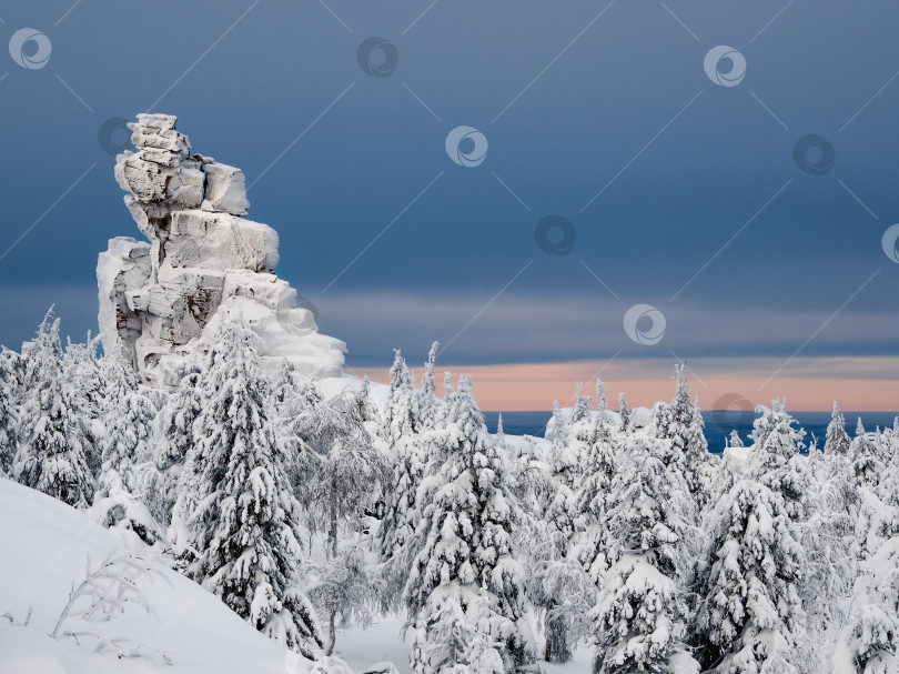 Скачать Удивительный зимний заснеженный горный лес фотосток Ozero