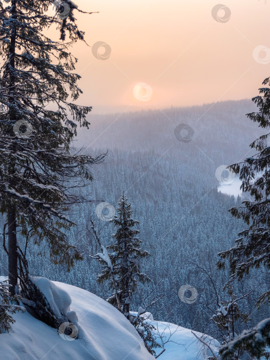 Скачать Удивительные зимние заснеженные горные деревья на утесе фотосток Ozero