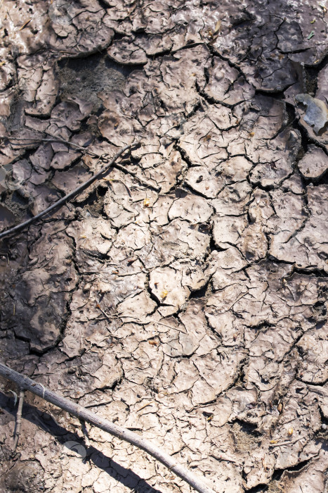 Скачать Потрескавшаяся, засохшая грязь крупным планом, фон или текстура фотосток Ozero