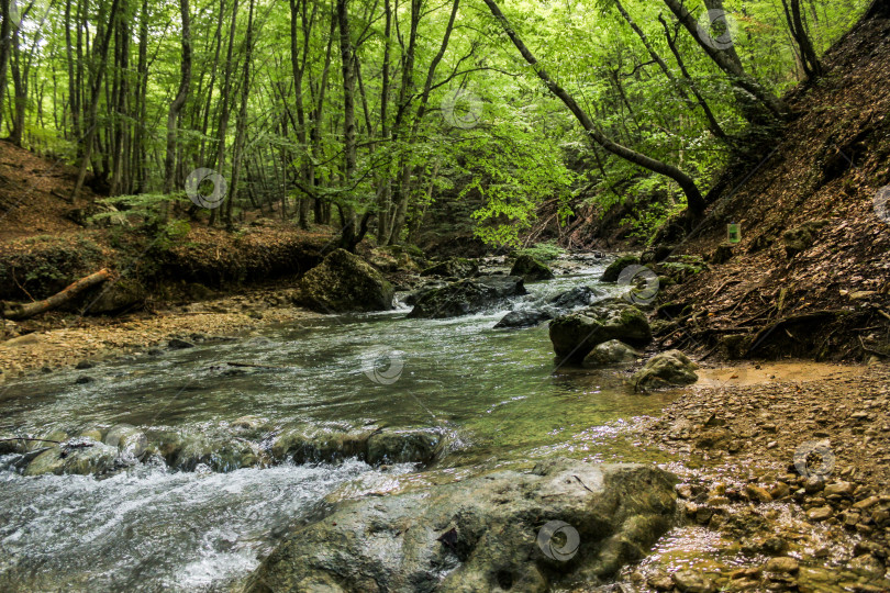 Скачать Валуны в лесной реке. фотосток Ozero