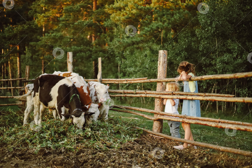 Скачать Дети на ферме фотосток Ozero