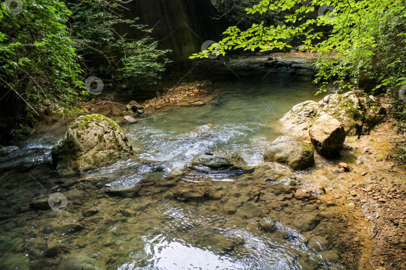 Скачать Прозрачная вода горного ручья. фотосток Ozero