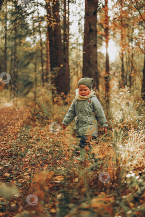 Скачать Мальчик в осеннем лесу фотосток Ozero