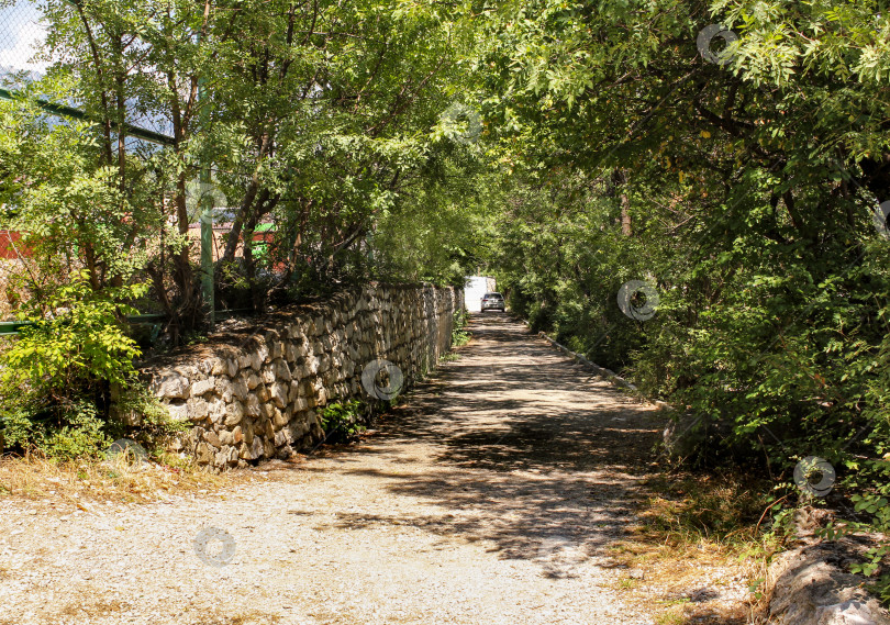 Скачать Заросшая старая улица. фотосток Ozero