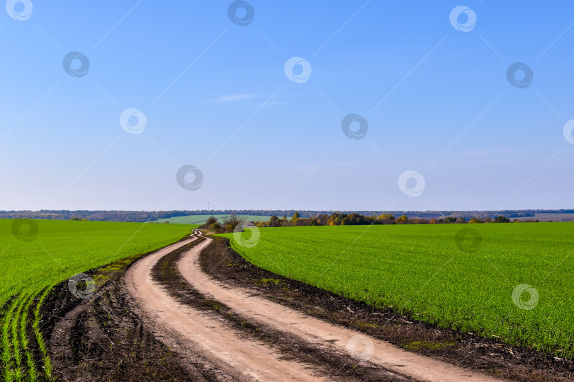 Скачать дальняя дорога фотосток Ozero