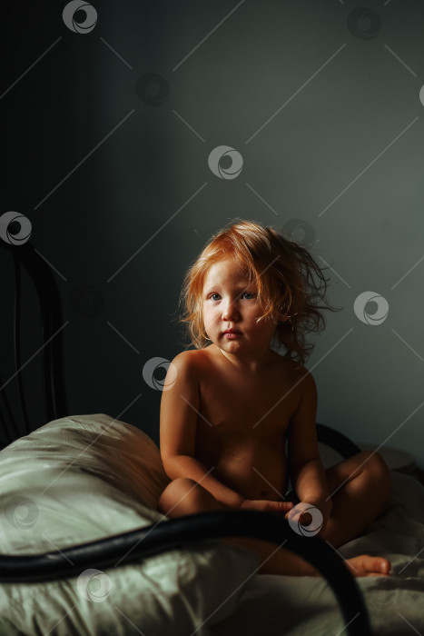 Скачать Портрет рыжеволосого малыша сидящего на кресле фотосток Ozero