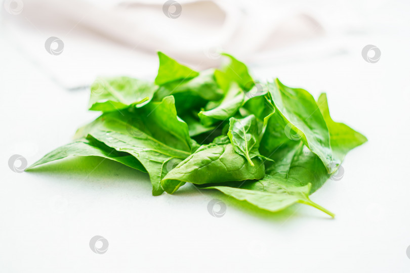 Скачать Свежие зеленые полезные листья шпината фотосток Ozero