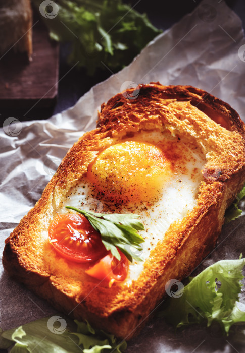 Скачать Жареное яйцо в тостах крупным планом фотосток Ozero