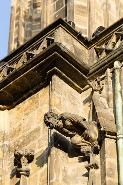 Скачать Архитектурные детали собора Святого Вита фотосток Ozero