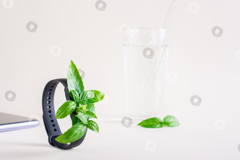 Скачать Свежие листья на экране фитнес-браслета, смартфона и стакане воды. Концепция заботы о здоровье, жизненной силы фотосток Ozero