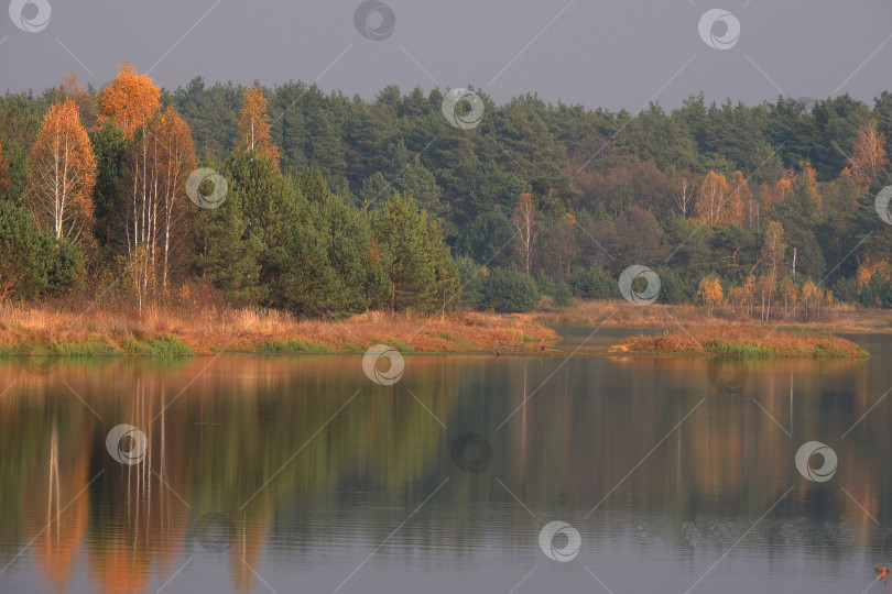 Скачать Осень на водоеме фотосток Ozero