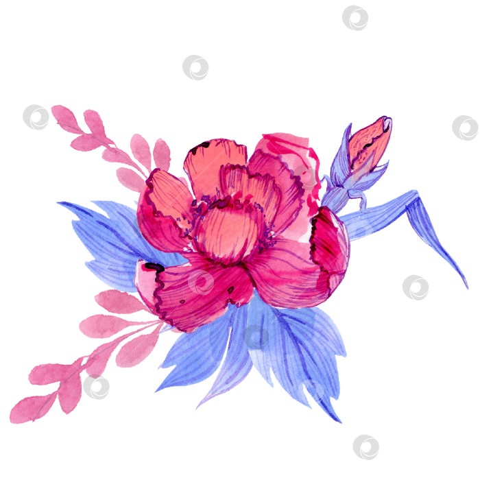 Скачать акварельная композиция из розовых цветов и веток, синих листьев фотосток Ozero