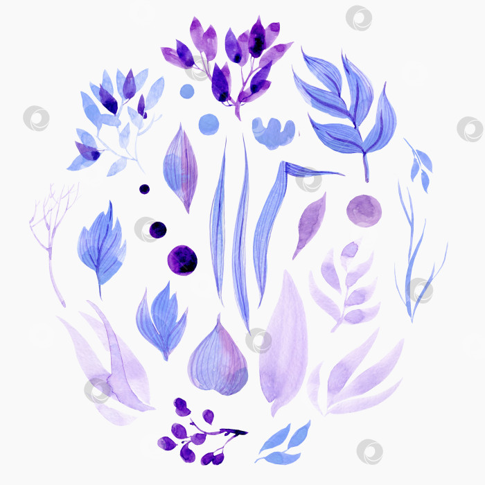Скачать набор предметов для дизайна. синие и сиреневые листья цветов и кустарников по кругу на белом фоне фотосток Ozero