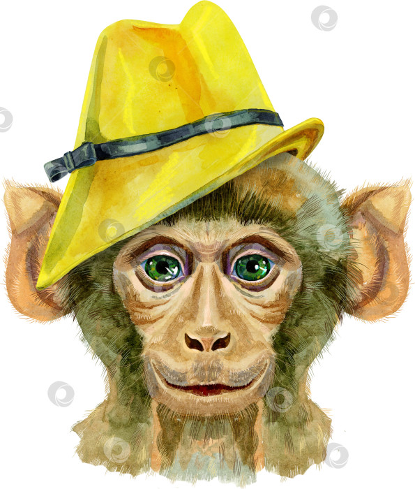 Скачать Обезьяна в желтой шляпе. Акварельная иллюстрация, выделенная на белом фоне. фотосток Ozero