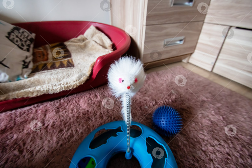 Скачать Мышка и игрушка-мячик для кошки на ковре крупным планом фотосток Ozero