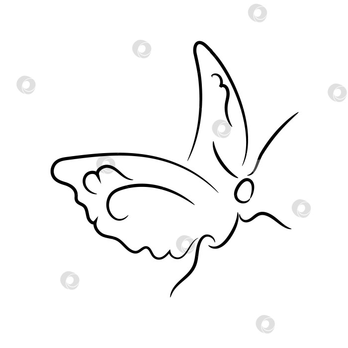Скачать Красивый черный контур бабочки, вид сбоку фотосток Ozero