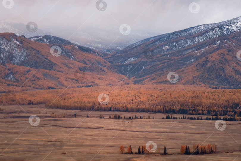 Скачать Туманная осенняя долина. Живописный горный пейзаж. фотосток Ozero