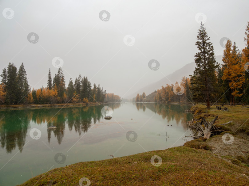 Скачать Утренняя спокойная река с отражениями деревьев. фотосток Ozero