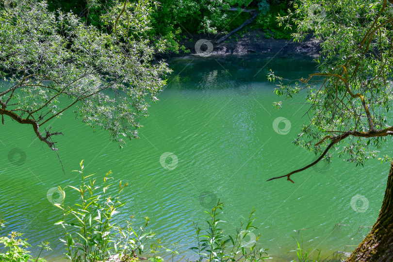 Скачать изумрудная вода фотосток Ozero