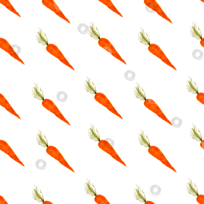 Скачать Акварельный узор с морковью. Акварельная овощная иллюстрация, шаблон меню, вкусные овощи фотосток Ozero