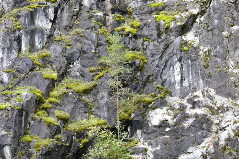 Скачать Карельские, отвесные скалы на берегу реки поросшие деревьями, соснам фотосток Ozero