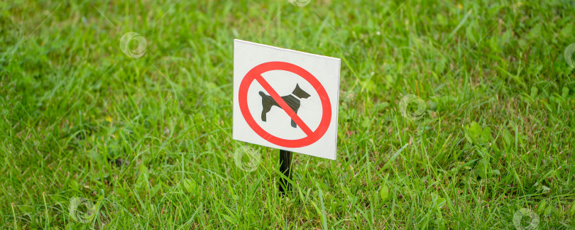 Скачать яркая вывеска "собакам запрещено находиться на зеленой лужайке" фотосток Ozero