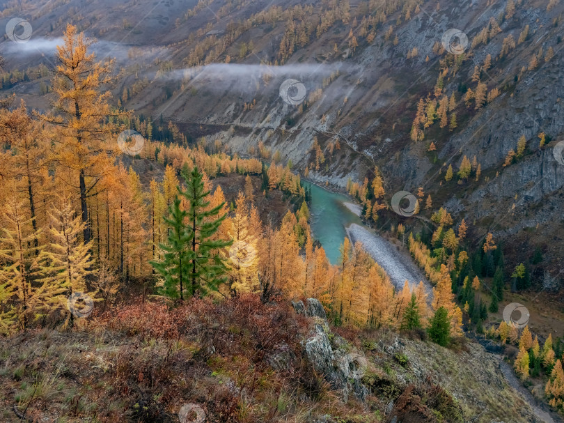 Скачать горная река в долине с лесом в осенних красках фотосток Ozero