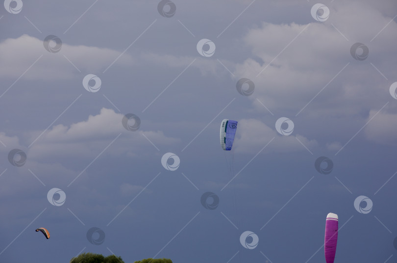 Скачать Парашютисты, парапланеристы летают, парят на фоне синего неба, в неб фотосток Ozero