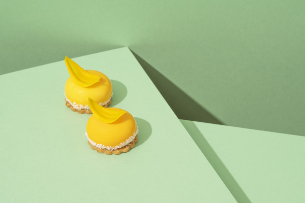[object Object] undefined