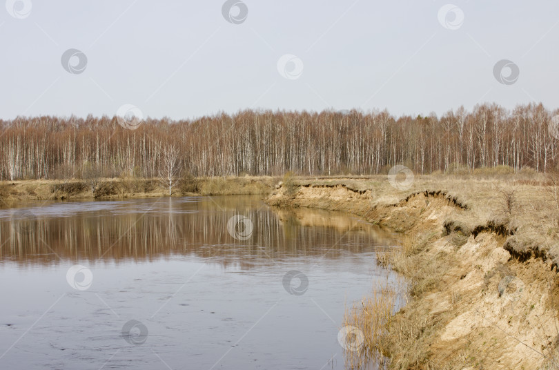 Скачать Река Которосль с обрывистыми берегами ранней весной на фоне леса. фотосток Ozero