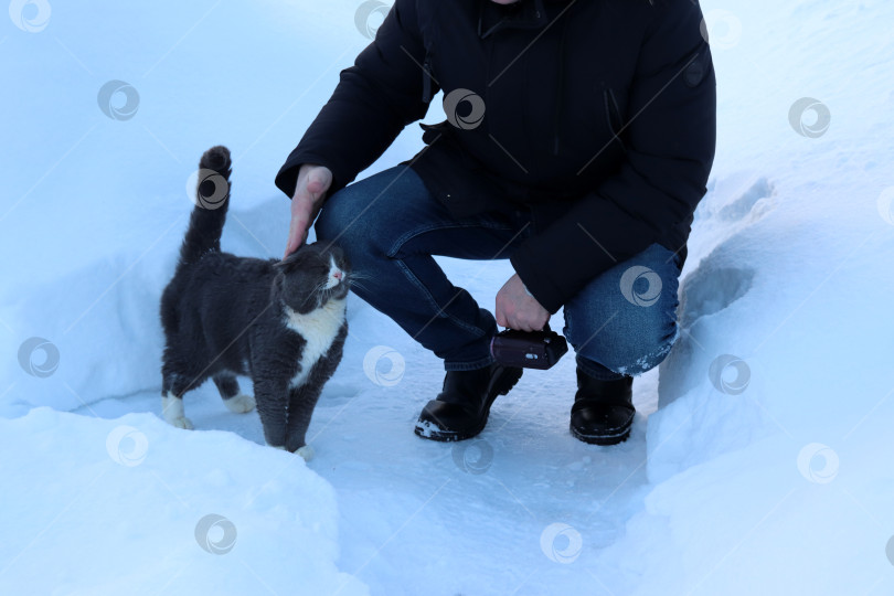 Скачать Мужчина пенсионер гладит серого кота на улице зимой фотосток Ozero