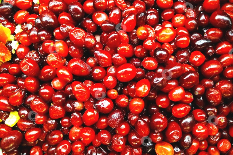 Скачать Замороженные ягоды шиповника для приготовления напитка. Фон из красных ягод. фотосток Ozero