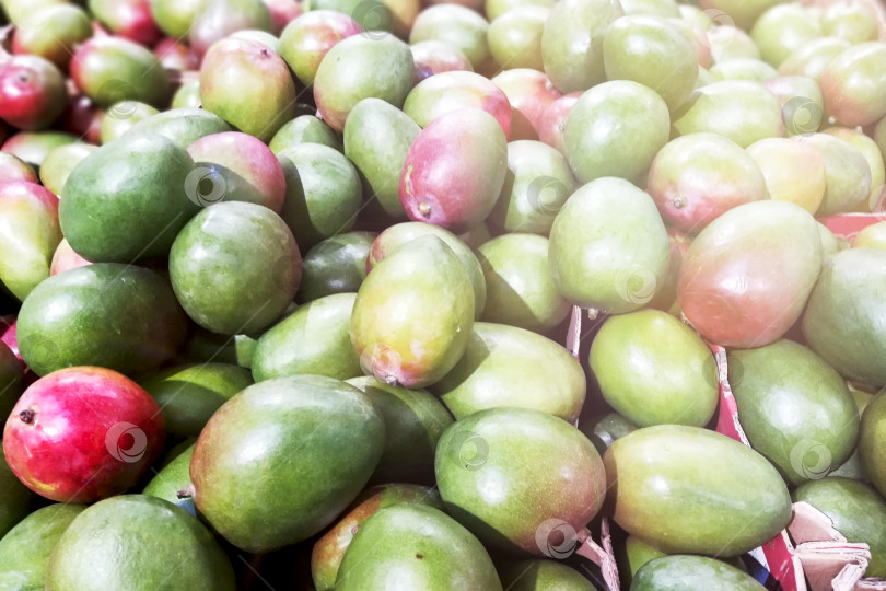 Скачать На рынке много свежего манго. Избирательный подход фотосток Ozero
