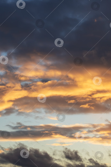 Скачать Ярко-желтые облака на закате в небе фотосток Ozero
