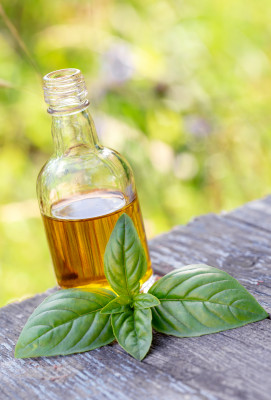 [object Object] undefined