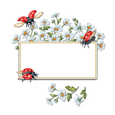 [object Object] undefined