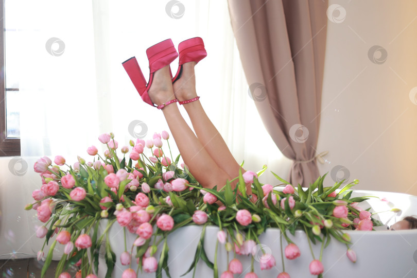 Скачать ванная комната, полная розовых тюльпанов. фотосток Ozero