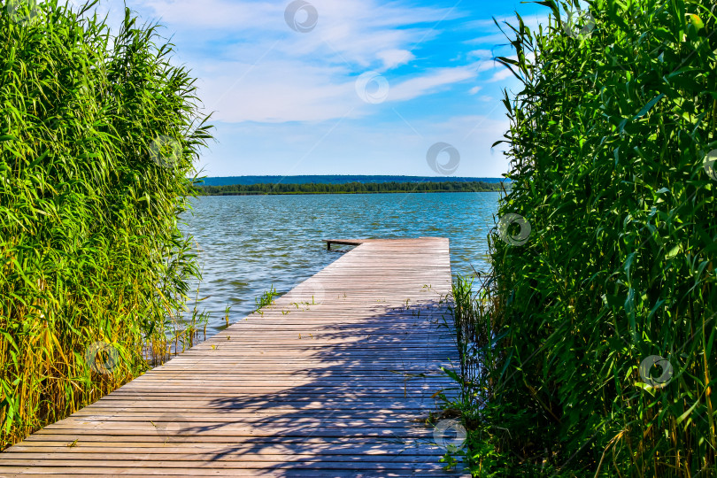 Скачать Выход к воде. фотосток Ozero