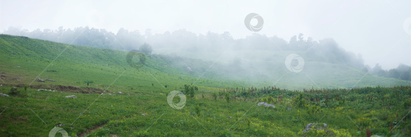 Скачать Летний горный пейзаж. Зеленая трава и туман. фотосток Ozero