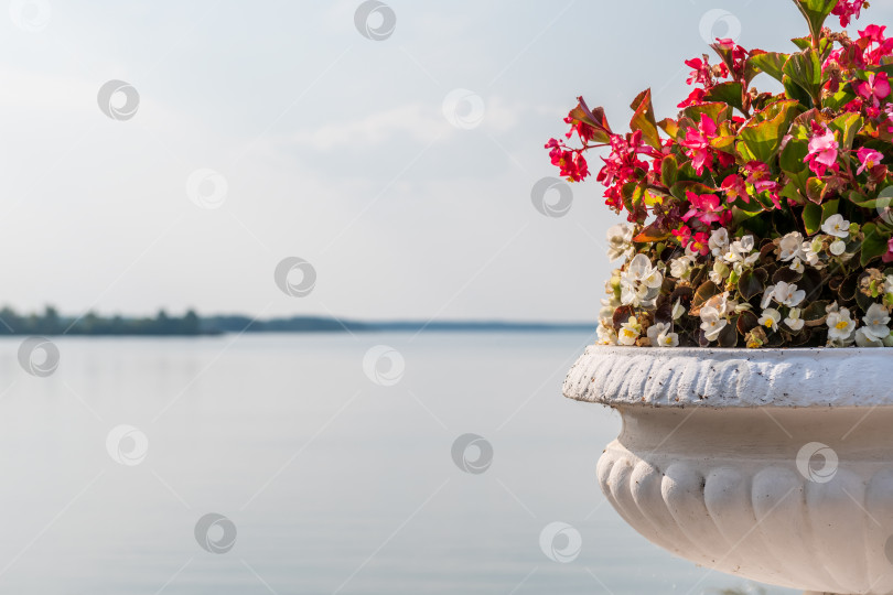 Скачать Цветы в антикварной вазе на фоне голубого неба и гладкой воды фотосток Ozero