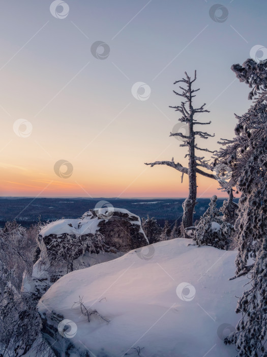 Скачать Природный пейзаж зимнего леса, заснеженный утес. фотосток Ozero