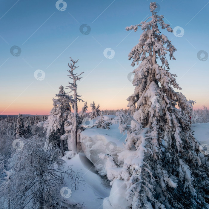 Скачать Природный пейзаж зимнего леса, заснеженный утес. фотосток Ozero