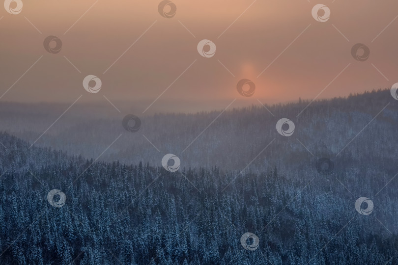 Скачать солнце в снежной морозной дымке над хвойным лесом фотосток Ozero