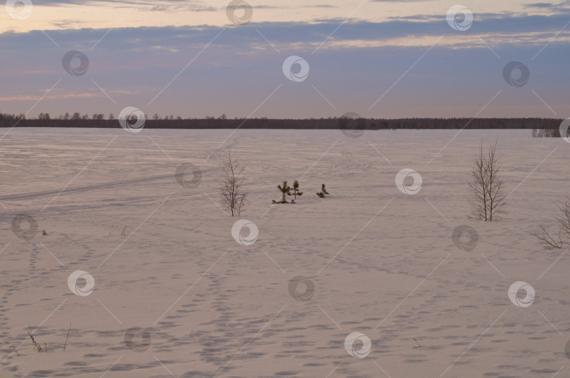 Скачать Вечер в зимнем поле фотосток Ozero