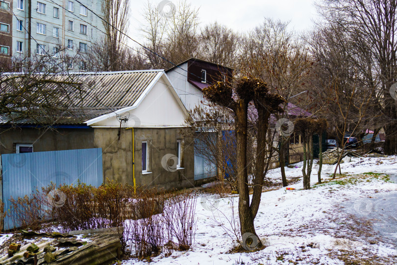 Скачать Остриженные деревья в частном секторе. Воронеж фотосток Ozero