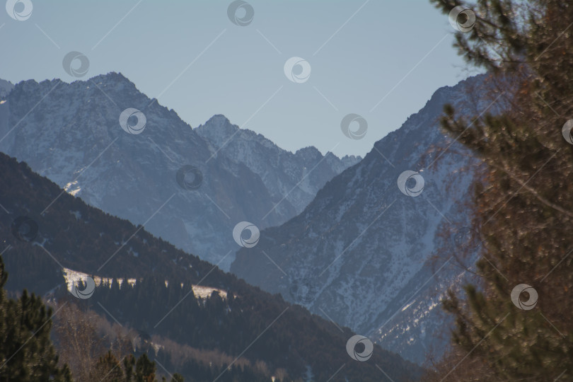 Скачать горный лес в ущелье Ала-Арча, Кыргызстан фотосток Ozero