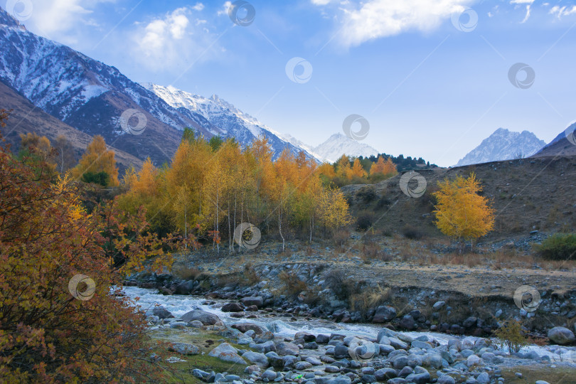 Скачать осенний пейзаж, горы, река и желтые деревья фотосток Ozero