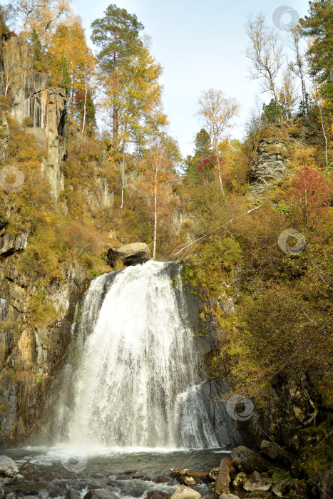 Скачать Стремительное течение реки низвергается подобно бурному и мощному водопаду с высокой горы, окруженной осенним лесом. фотосток Ozero